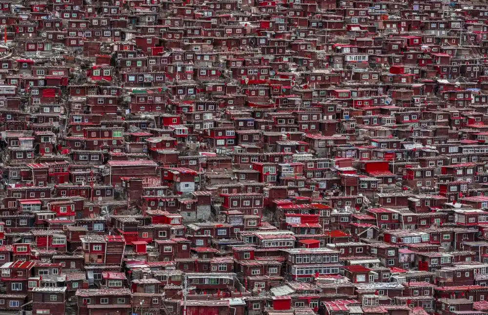 Red houses Snabb leverans