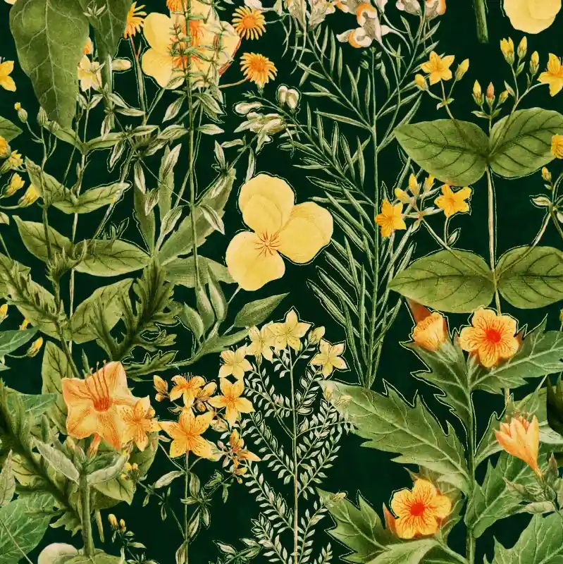 Beställ idag Mimulus Anthracite - WP20322