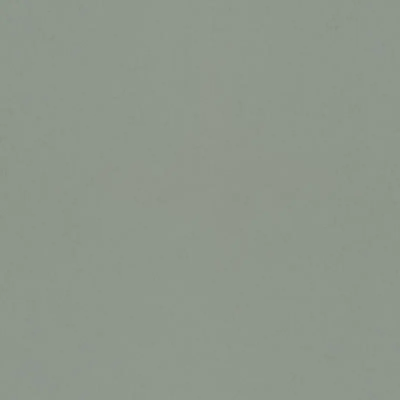 Avocado - 77002 Outlet