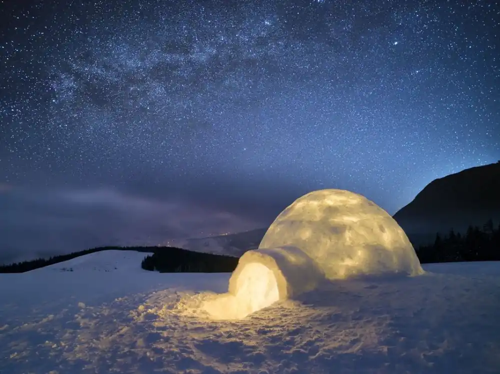 Premium Cozy Igloo