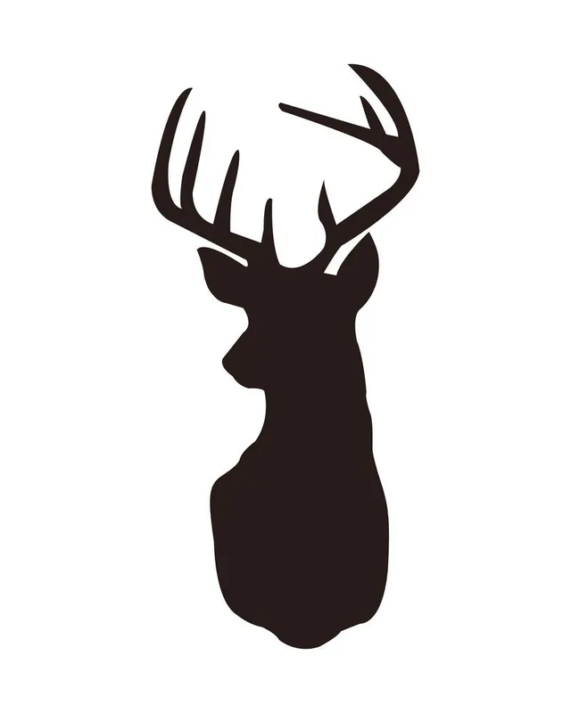 risnedsättning ISOLATED DEER WITH WITHE BACKGROUND
