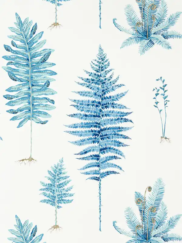 Sanderson - Fernery China Blue Glasshouse Wallpapers Beställ nu