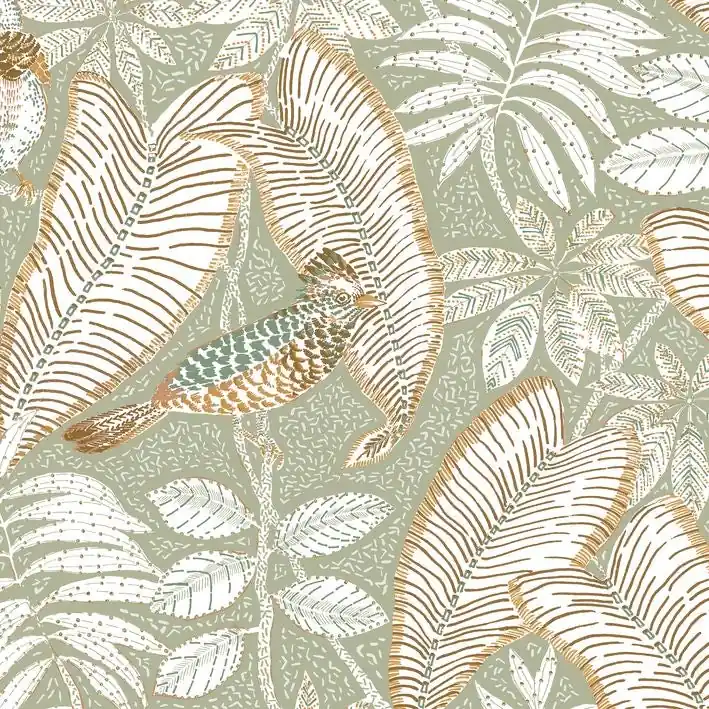 Casamance - Sibia Amande Orphee Kundfavorit