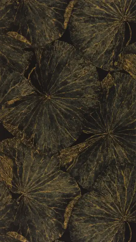 Zoffany - Taisho Deco Vine Black The Muse Wallcoverings Lågt pris