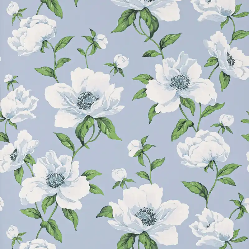 Manuel Canovas - Bianca Celeste Billigare