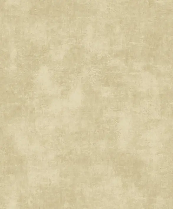 Kundfavorit Casadeco - Stone Sable Stone 2 Cad