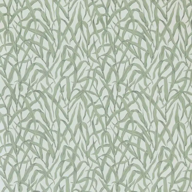 Säker betalning Carma - Ornamental Grasses